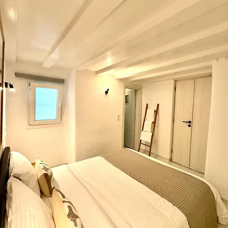 公寓 Entropia Loft Myconian