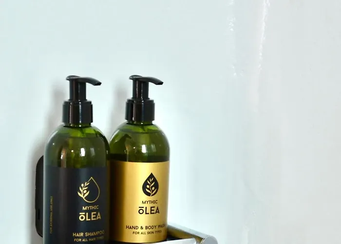 Entropia Loft Myconian Apartman *